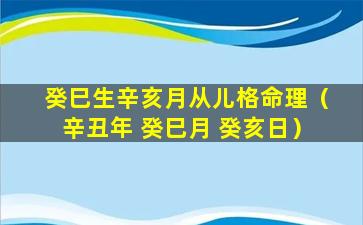 癸巳生辛亥月从儿格命理（辛丑年 癸巳月 癸亥日）